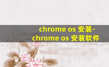 chrome os 安装-chrome os 安装软件